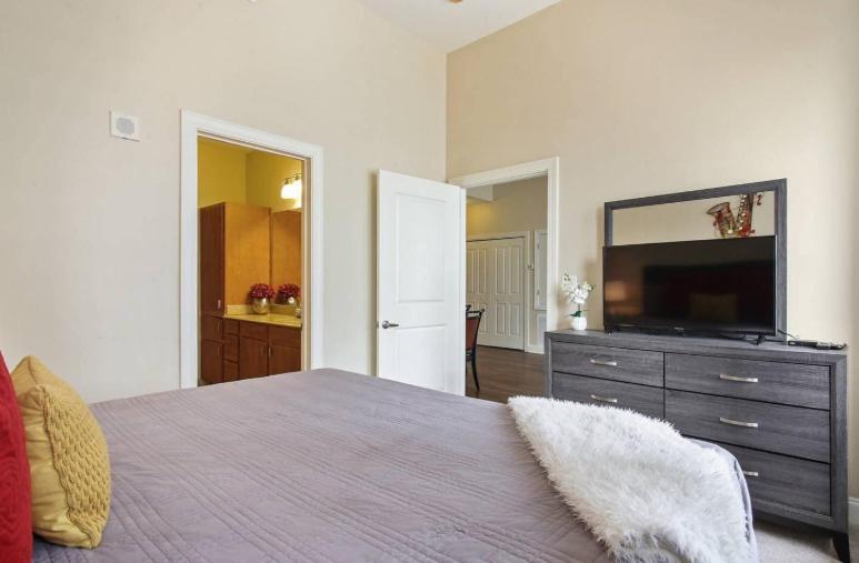 Amazing Condos Beautiful View 2 Blocks To French Quarter, Small Rooftop Pool, Gym, Seanger Theater, Super Dome, And Bourbon St Νέα Ορλεάνη Εξωτερικό φωτογραφία